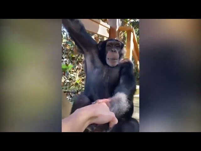Помощь друга 