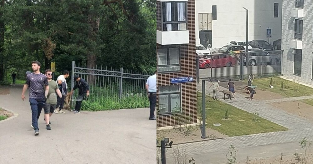 "Будьте людьми!": в Москве мусульманам помешали резать баранов в парке и на площадке в ЖК
