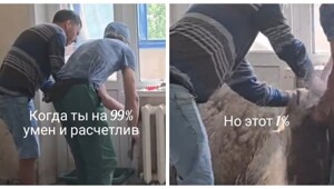 Хорошо, что тазик поставили